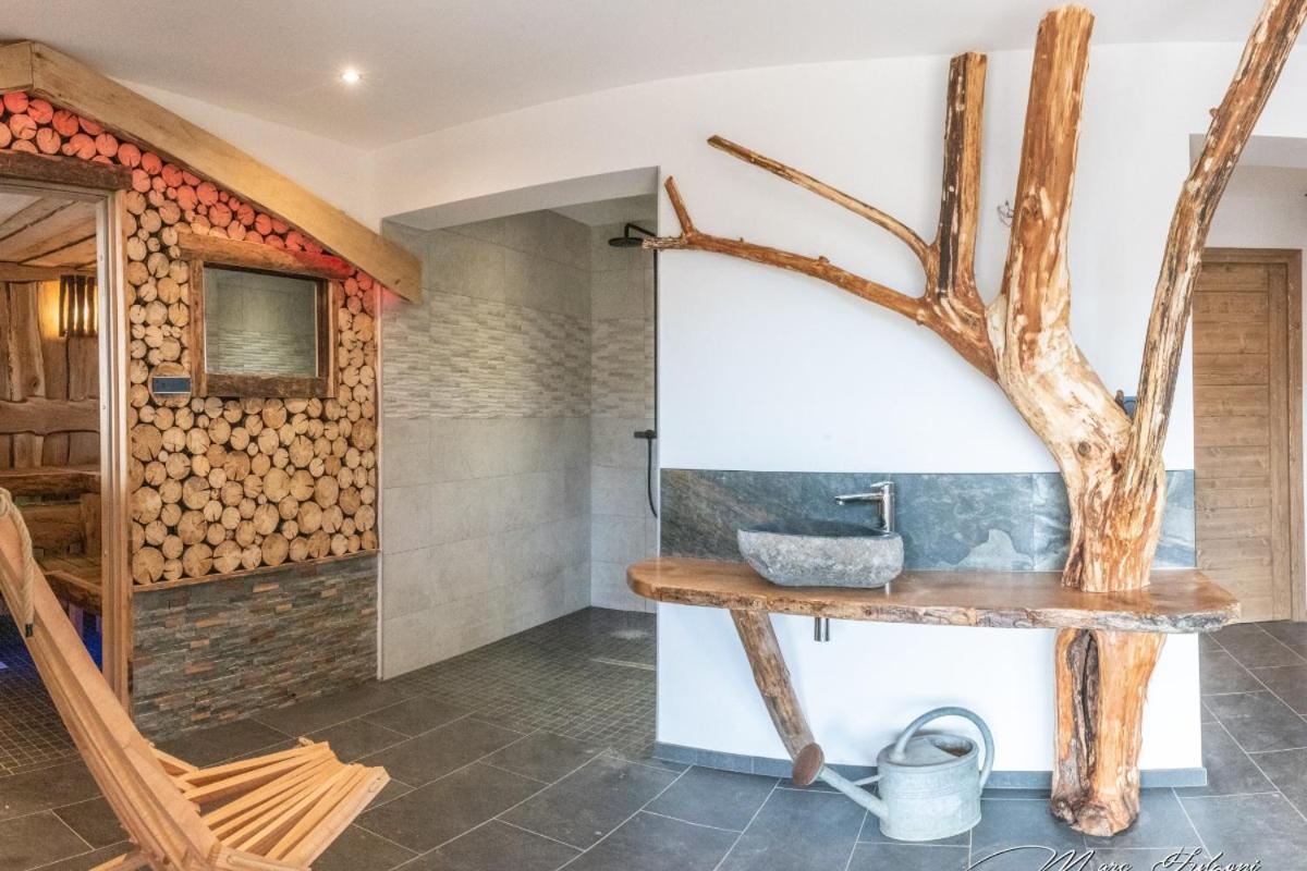 Chalet Le Pourquoi Pas Villa La Bresse Dış mekan fotoğraf