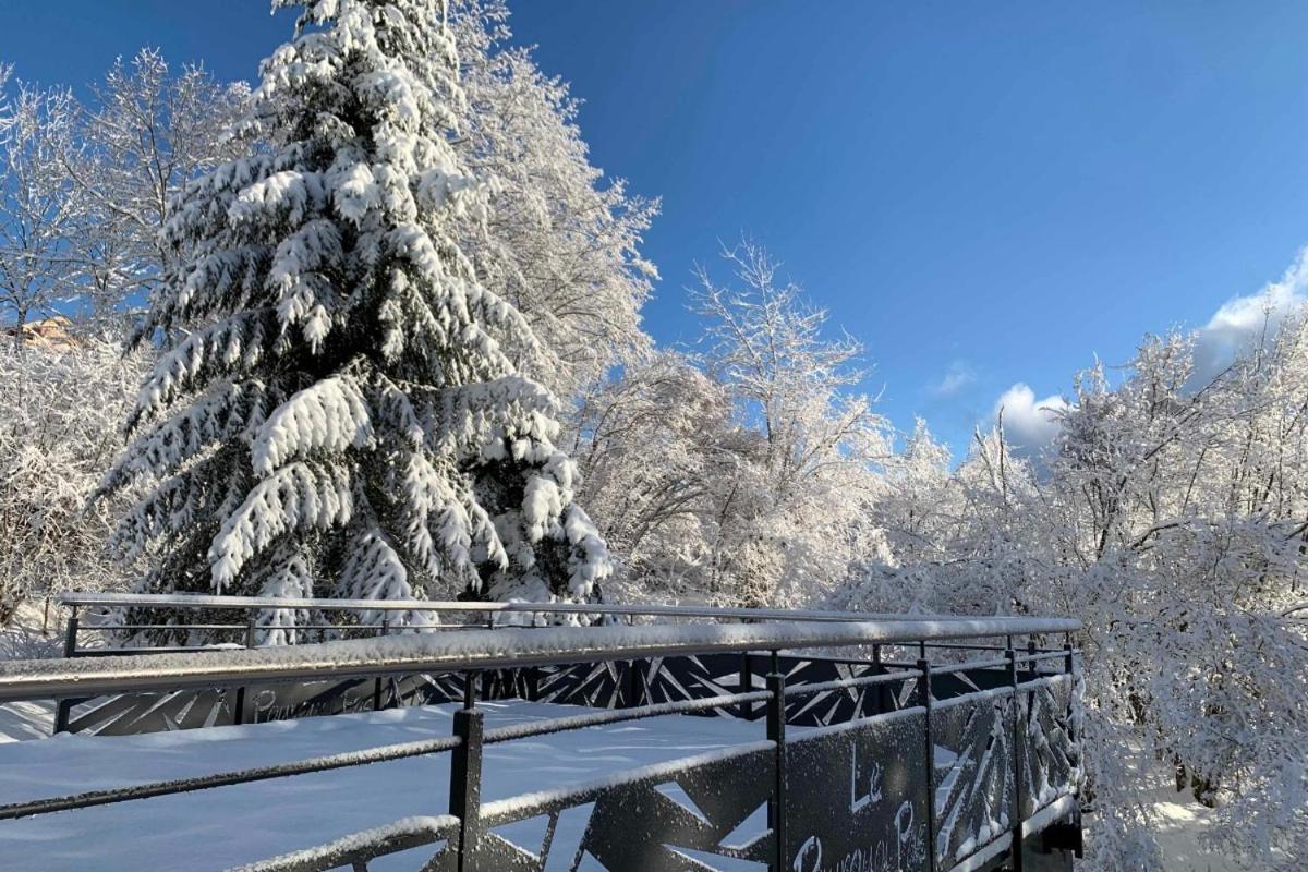 Chalet Le Pourquoi Pas Villa La Bresse Dış mekan fotoğraf